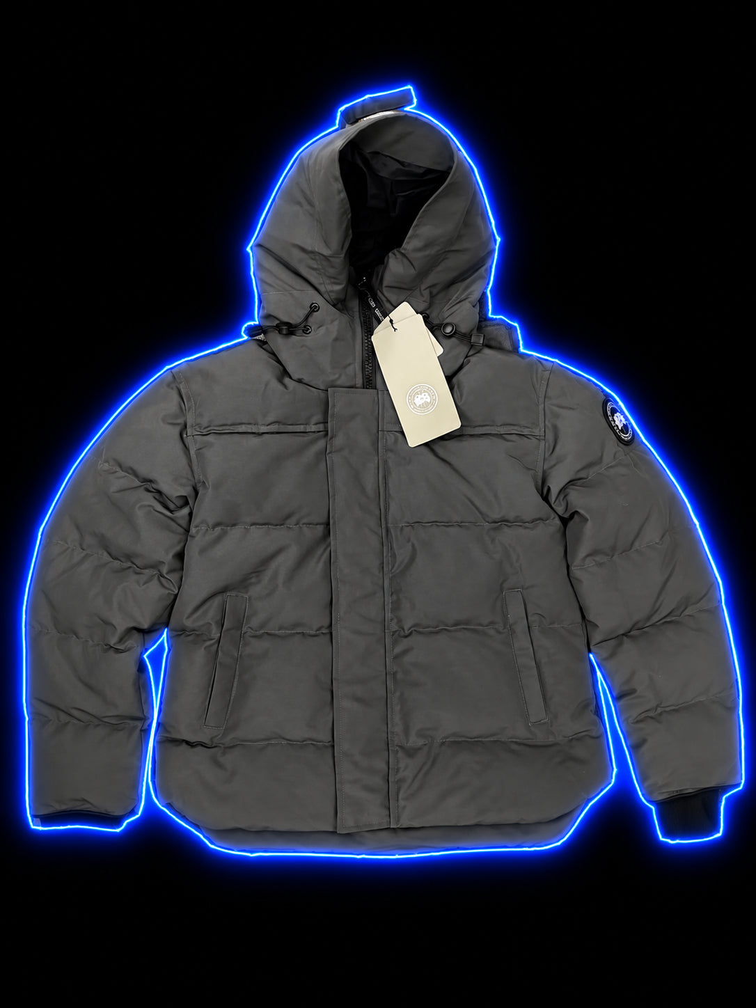 Grey Canada Goose hooded puffer